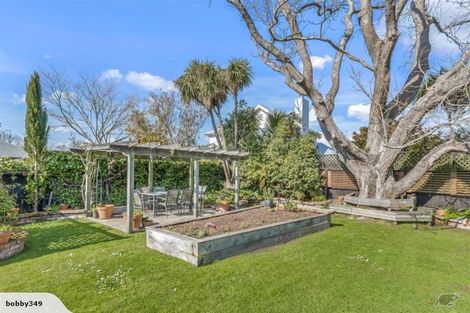 Photo of property in 56 Tomes Road, St Albans, Christchurch, 8052