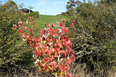 Photo of property in 169 Kimihia Road, Huntly, 3771