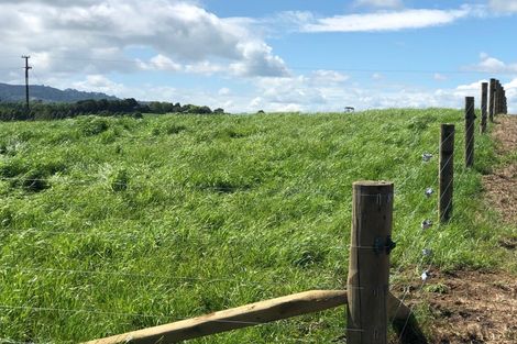 Photo of property in 155 Tauhei Road, Mangateparu, Morrinsville, 3375