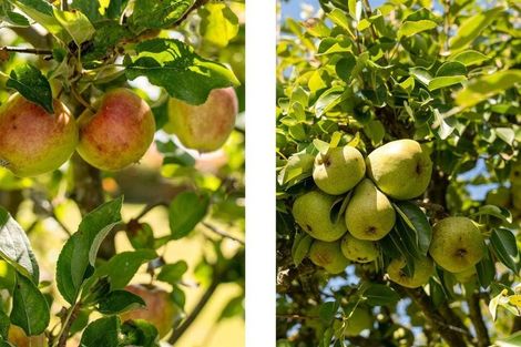 Photo of property in 928 Omanawa Road, Omanawa, Tauranga, 3171