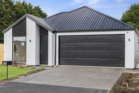 Photo of property in 11 Cartvale Drive, Marshland, Christchurch, 8051