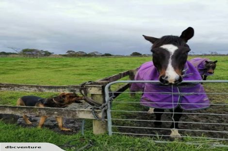 Photo of property in 348 Matua Road, Kumeu, 0891