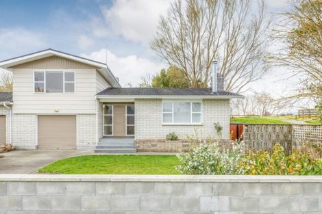 Photo of property in 497 Ruahine Street, Terrace End, Palmerston North, 4410