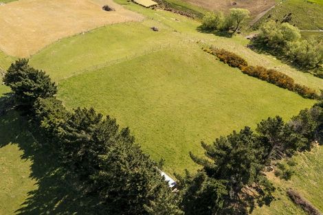 Photo of property in 42 Falcon Street, Palmerston, 9430