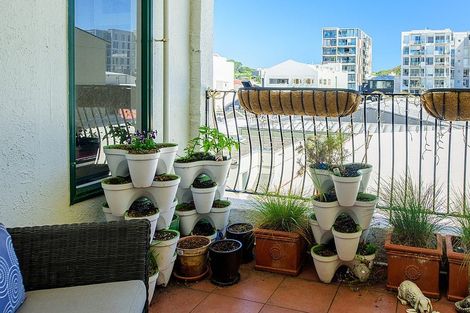 Photo of property in Tennyson Apartments, 12/25 Tennyson Street, Te Aro, Wellington, 6011