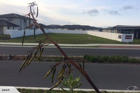 Photo of property in 41 Stace Hopper Drive, One Tree Point, 0118