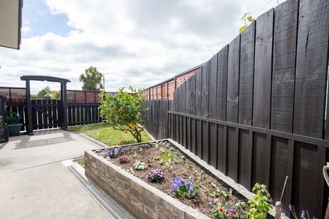 Photo of property in 13a Madgwick Place, Ngatea, 3503