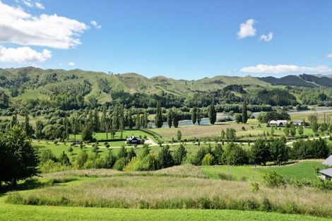 Photo of property in 155 Matangi Road, Tuki Tuki, Havelock North, 4294