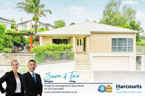 Photo of property in 20 Alison Street, Hamilton Lake, Hamilton, 3204