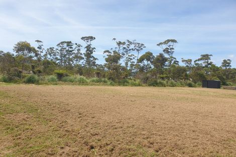 Photo of property in 106 Karearea Way, Matarangi, 3592