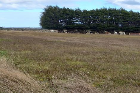 Photo of property in 95 Clark Road, Omaui, Invercargill, 9877