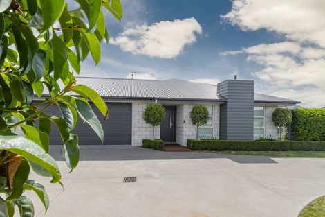 Photo of property in 34 Pengover Avenue, Leamington, Cambridge, 3432