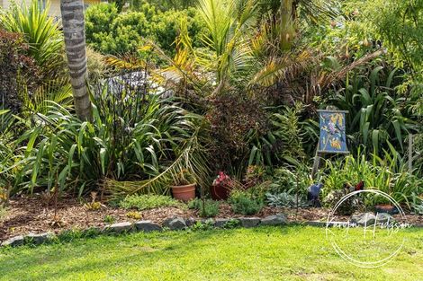 Photo of property in 10 Regent Street, Whakapirau, Maungaturoto, 0583