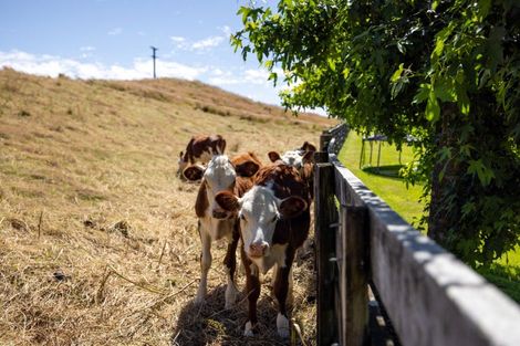 Photo of property in 1095 Taumata Road, Omanawa, Tauranga, 3173
