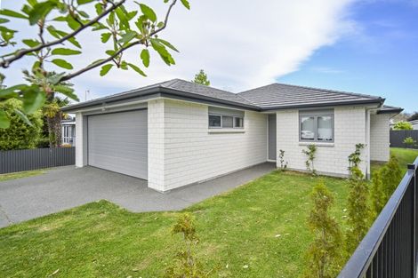 Photo of property in 506a Henry Street, Raureka, Hastings, 4120