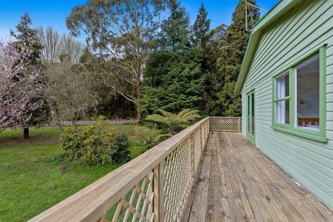 Photo of property in 674 White Pine Bush Road, White Pine Bush, Whakatane, 3191