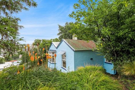 Photo of property in 50 Carson Street, Mornington, Dunedin, 9011