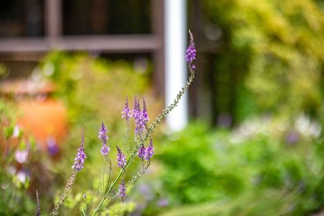 Photo of property in 2 Heron Court, Te Kowhai, Hamilton, 3288