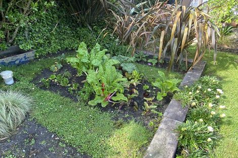 Photo of property in 5 Corbett Street, Hector, 7822