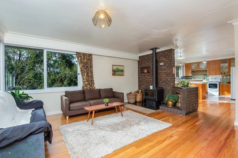Photo of property in 33 Ettrick Street, Glenross, Dunedin, 9011