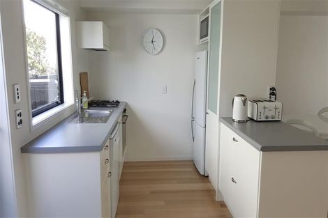 Photo of property in 2h Wilton Street, Grey Lynn, Auckland, 1021