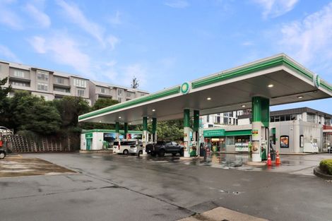 Photo of property in Grosvenor Cl, 6/6 Brown Street, Mount Cook, Wellington, 6021