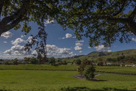 Photo of property in 5 Double Oaks Drive, Paeroa, 3600