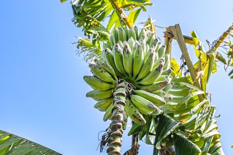 Photo of property in 100 Greenhills Drive, Coromandel, 3506