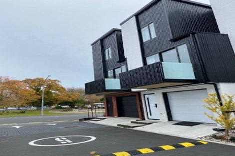 Photo of property in 1/216 Tristram Street, Hamilton Central, Hamilton, 3204