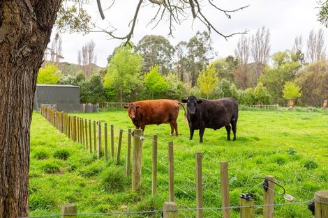 Photo of property in 36 Papaiti Road, Papaiti, Whanganui, 4584