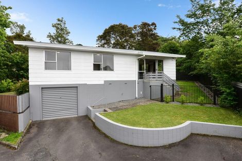 Photo of property in 36a Rothesay Place, Dinsdale, Hamilton, 3204
