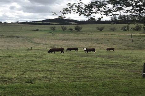 Photo of property in 130 Carruth Road, Poroti, Whangarei, 0179