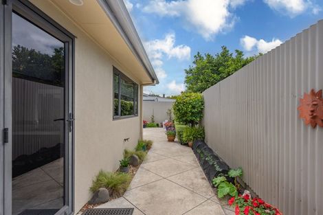 Photo of property in 31a Avenue Road, Greenmeadows, Napier, 4112