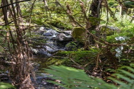 Photo of property in 1/180 Oreipunga Road, Maungatautari, Cambridge, 3494