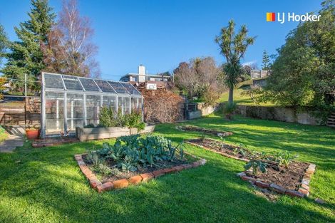 Photo of property in 3 Martin Road, Fairfield, Dunedin, 9018