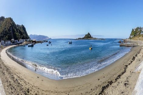 Photo of property in 156 Derwent Street, Island Bay, Wellington, 6023