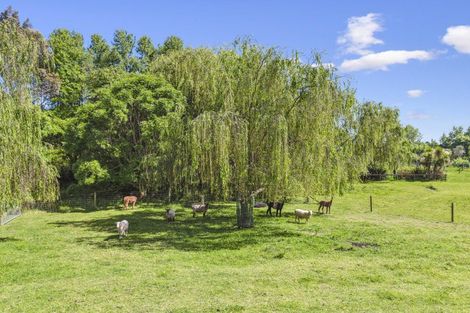 Photo of property in 177 Otaihanga Road, Otaihanga, Paraparaumu, 5036