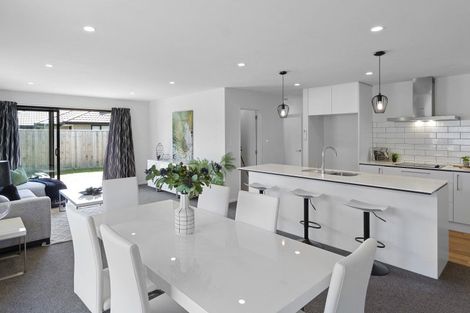 Photo of property in 55 Bonecrusher Street, Lincoln, 7608