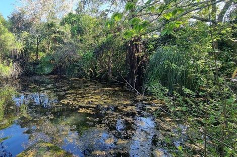 Photo of property in 223 Heatherlea East Road, Levin, 5571