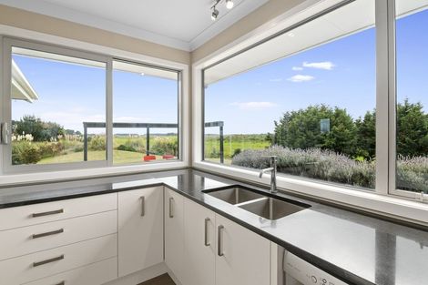 Photo of property in 90 Bergin Road, Foxton, 4814