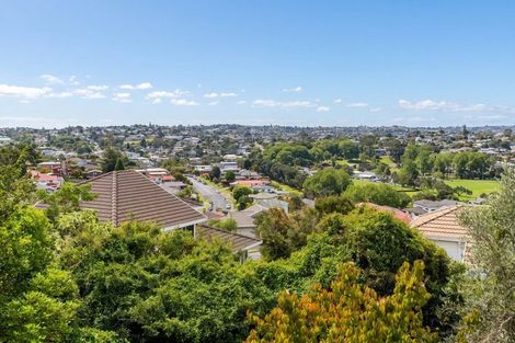 Photo of property in 128 Coronation Road, Hillcrest, Auckland, 0627