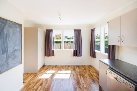 Photo of property in 102 Limbrick Street, Terrace End, Palmerston North, 4410