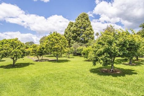 Photo of property in 15 Freeburn Road, Pyes Pa, Tauranga, 3112