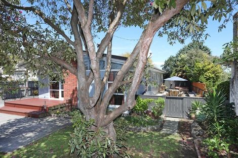 Photo of property in 13 Nelson Street, Feilding, 4702