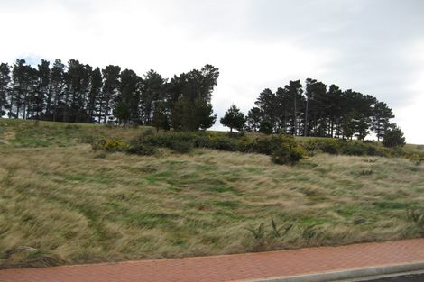 Photo of property in 22 Highgrove, Saint Clair, Dunedin, 9012