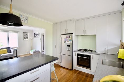 Photo of property in 62 Tudor Road, Henderson, Auckland, 0610