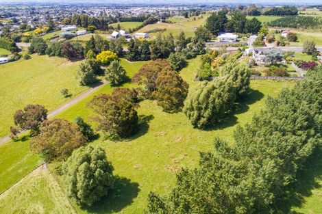 Photo of property in 82 Halcombe Road, Feilding, 4775