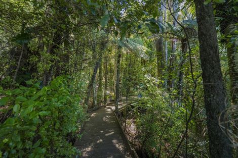 Photo of property in 49 Tarapatiki Drive, Whitianga, 3510