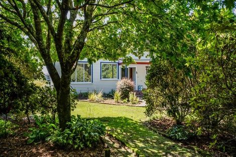 Photo of property in 25 Portia Street, Stratford, 4332