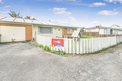 Photo of property in 221a Killarney Road, Frankton, Hamilton, 3204